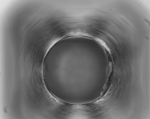 X0000095110863200712141150