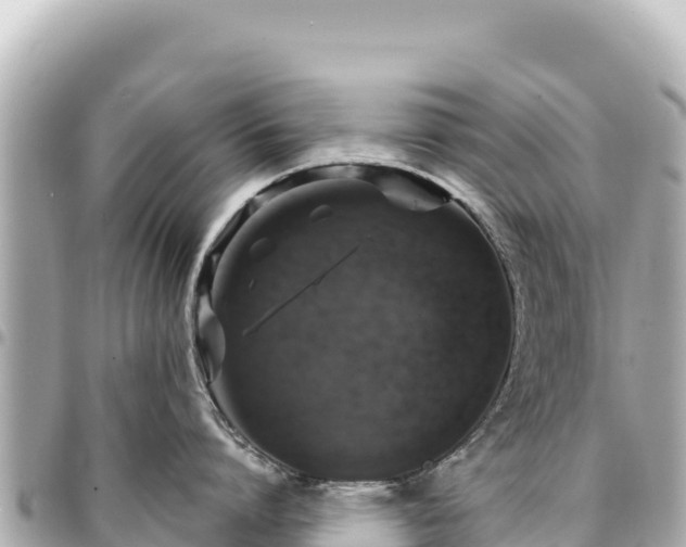 X0000095110864200712141150