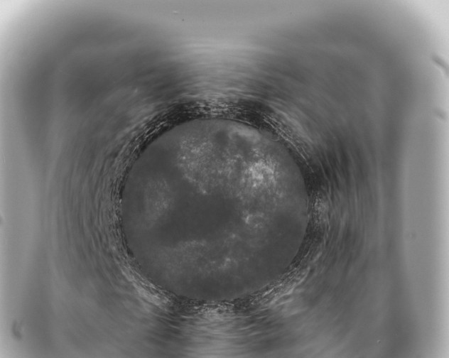 X0000095110865200712141149