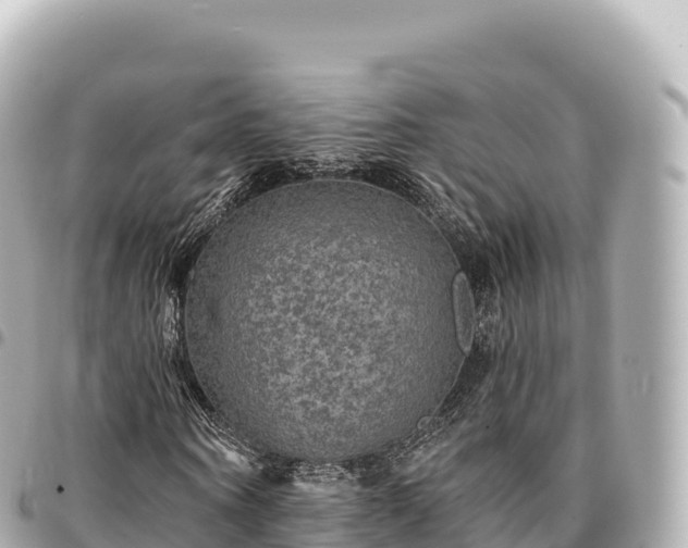 X0000095110866200712141149