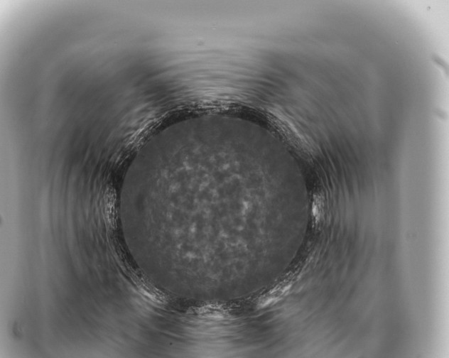 X0000095110867200712141149