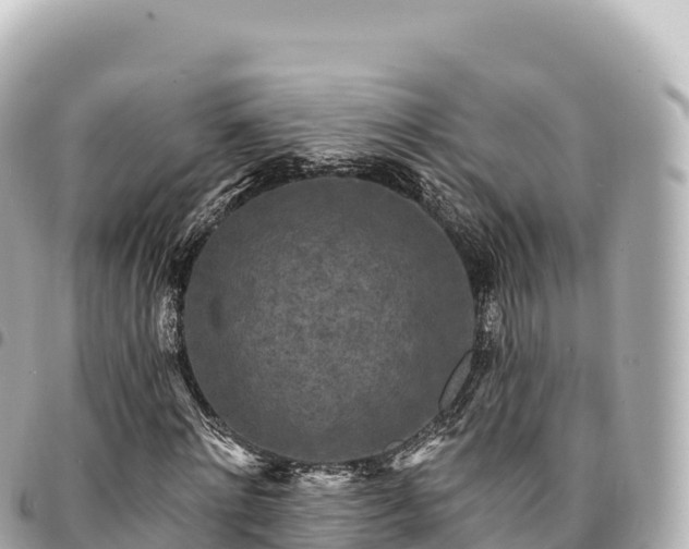 X0000095110868200712141149