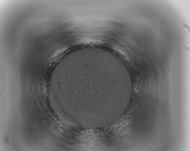 X0000095110869200712141149