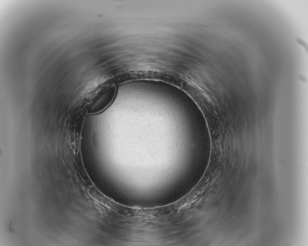 X0000095110870200712141149