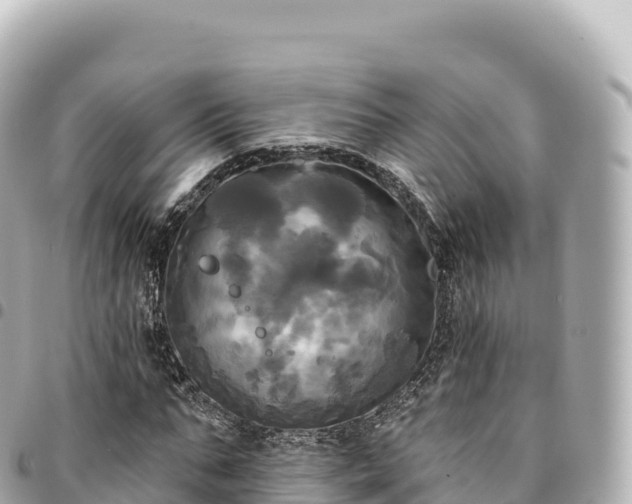 X0000095110871200712141149