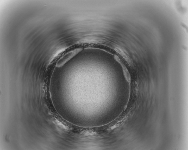 X0000095110872200712141149