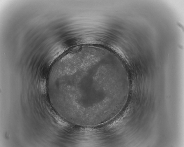 X0000095110873200712141149