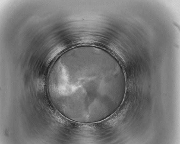 X0000095110874200712141149