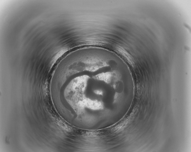 X0000095110875200712141149