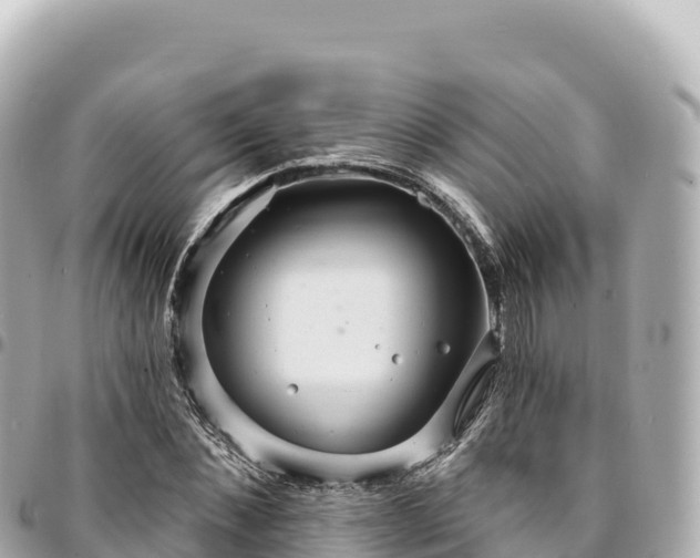 X0000095110876200712141149