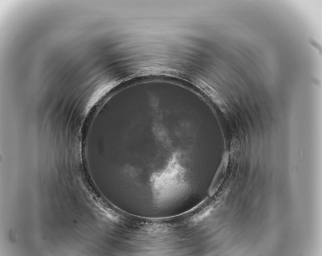 X0000095110877200712141149