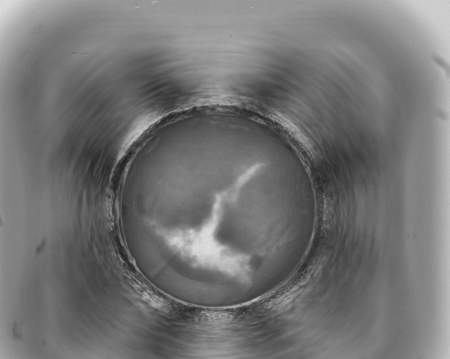 X0000095110878200712141149