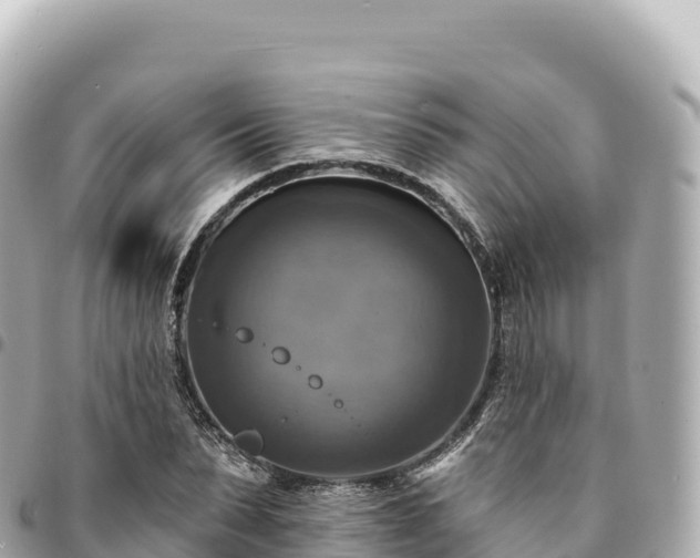 X0000095110879200712141149