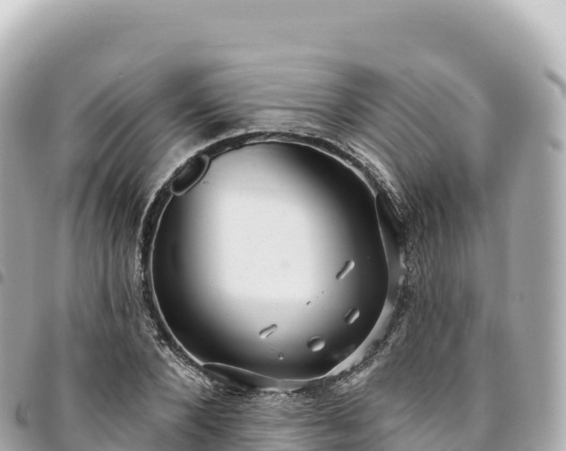 X0000095110880200712141149