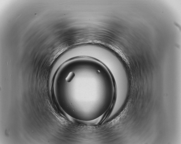 X0000095110881200712141149