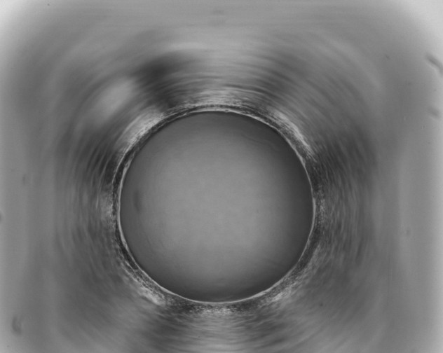 X0000095110882200712141149