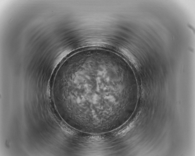 X0000095110883200712141149