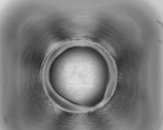 X0000095110884200712141149