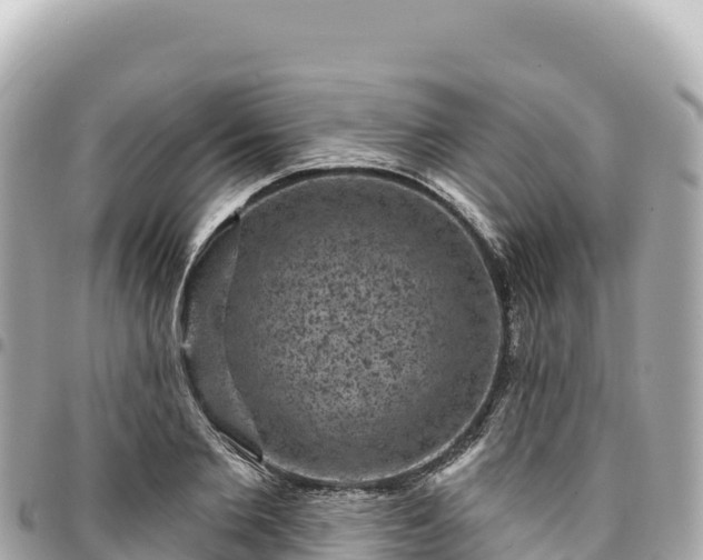 X0000095110885200712141149