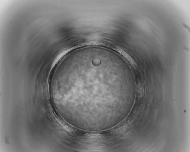 X0000095110886200712141149