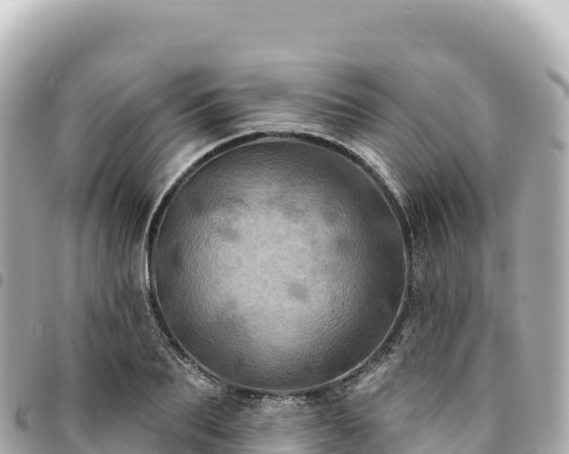 X0000095110887200712141149