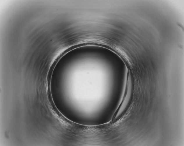 X0000095110888200712141149