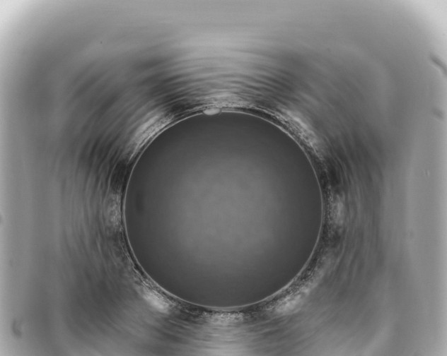 X0000095110889200712141149