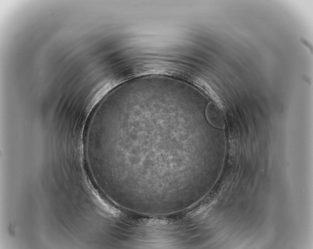 X0000095110890200712141149