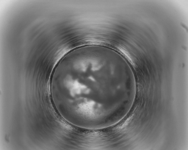 X0000095110891200712141149