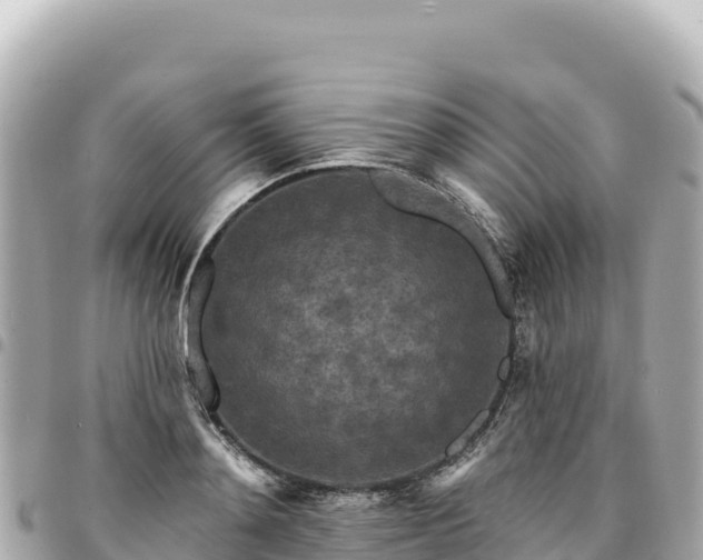 X0000095110892200712141149