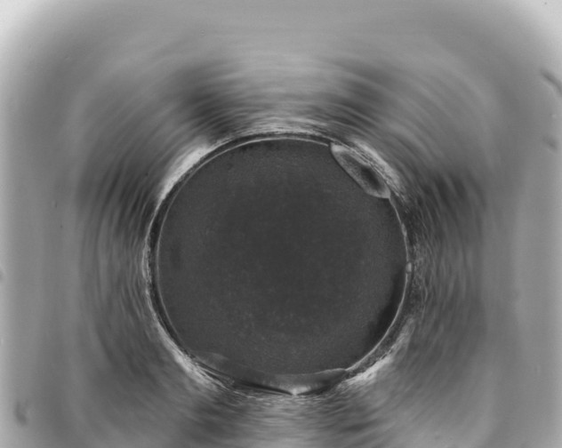 X0000095110893200712141149