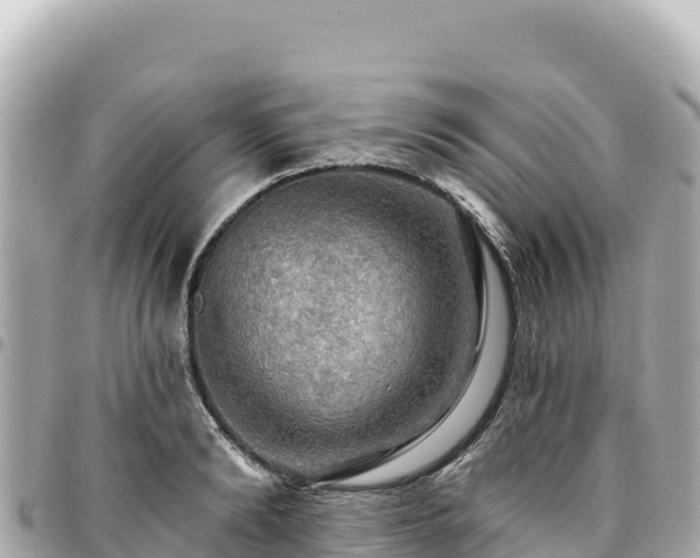 X0000095110894200712141149