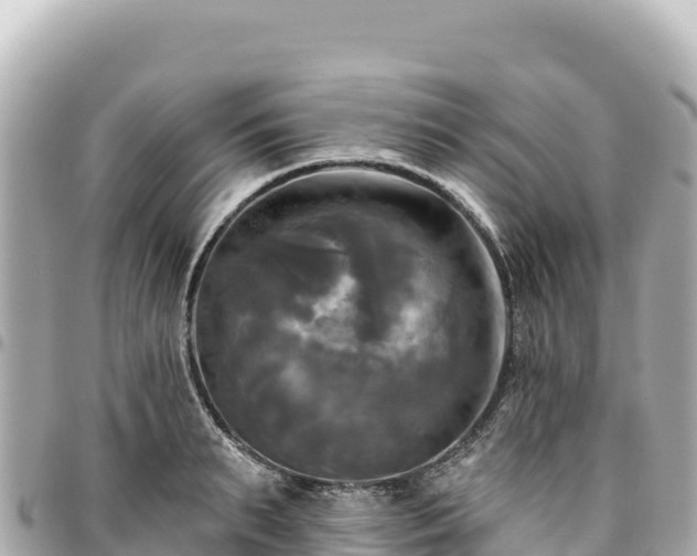 X0000095110895200712141149