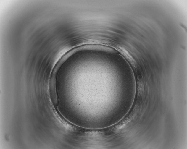 X0000095110896200712141149