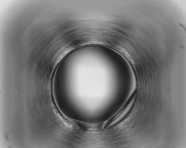 X0000095110898200712141149