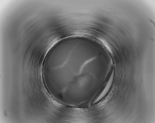 X0000095110899200712141149