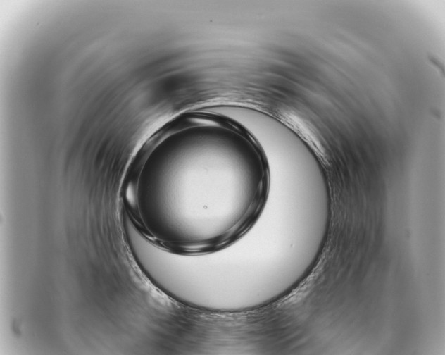 X0000095110900200712141149