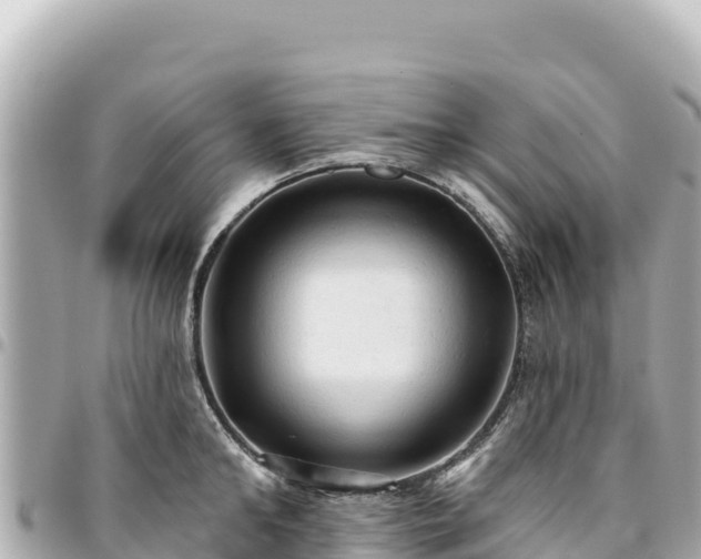 X0000095110902200712141149