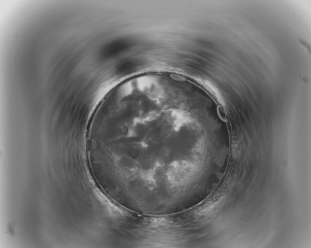 X0000095110903200712141149