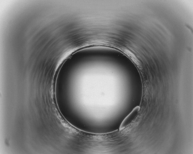 X0000095110904200712141149