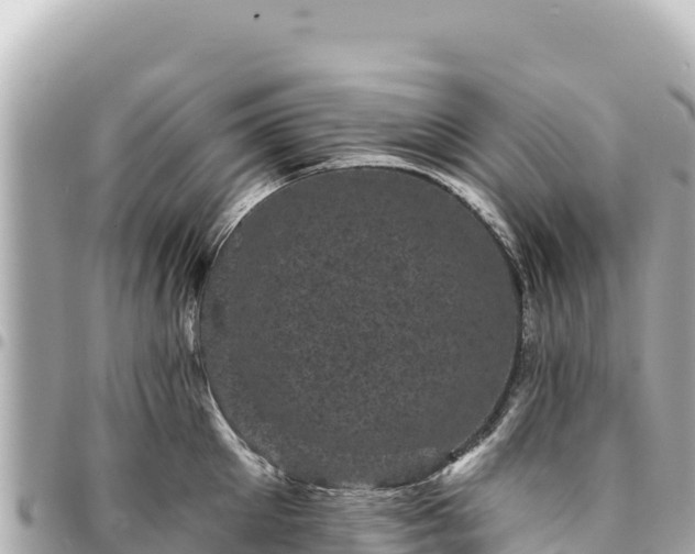 X0000095110905200712141149