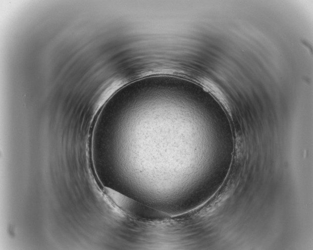 X0000095110906200712141149