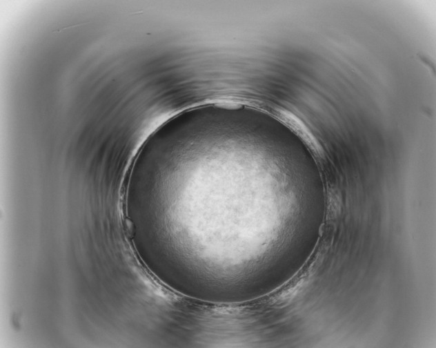 X0000095110908200712141149