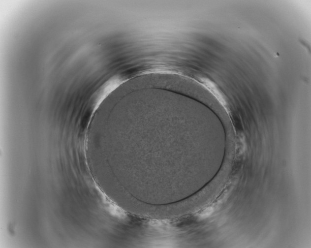 X0000095110909200712141149