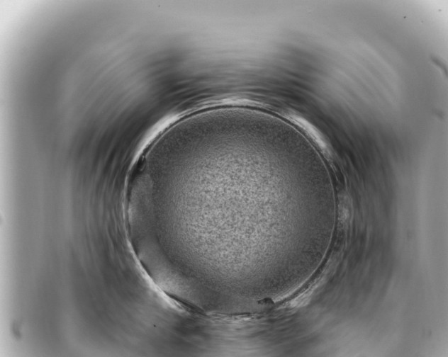 X0000095110910200712141149