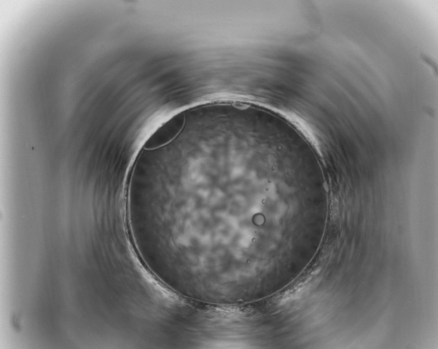 X0000095110911200712141149