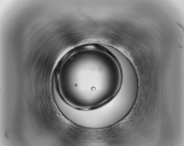 X0000095110912200712141149