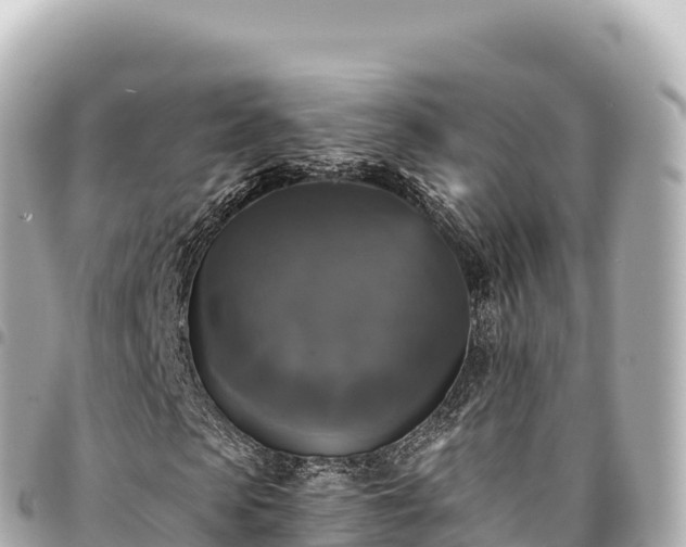 X0000095110913200712141148