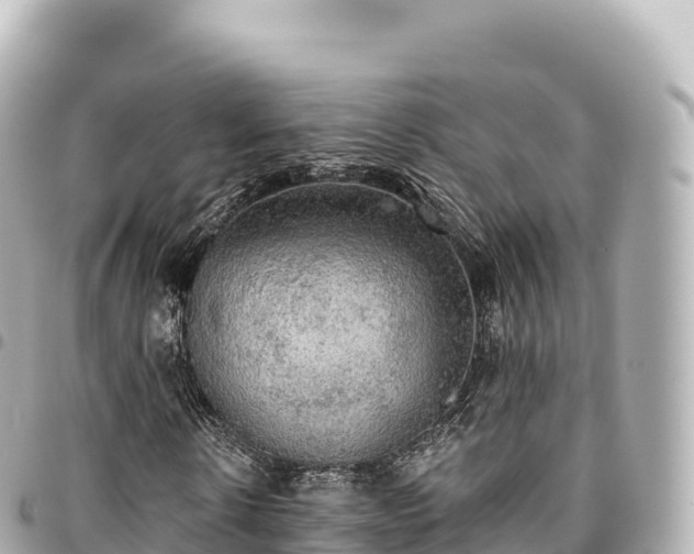 X0000095110914200712141148