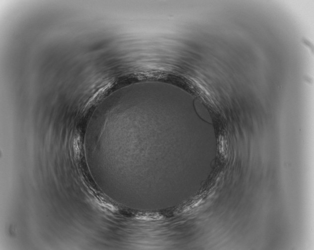 X0000095110915200712141148